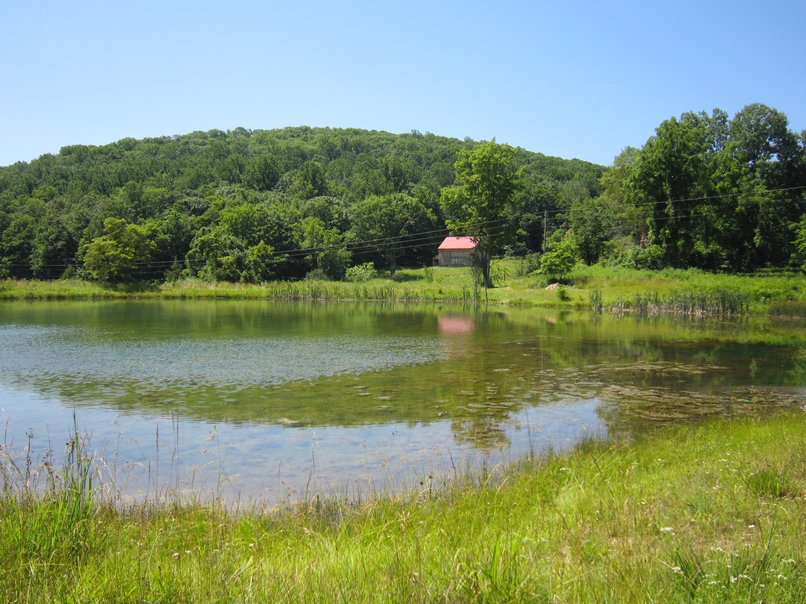 Burgundy Center for Wildlife Studies Preparing For Camp